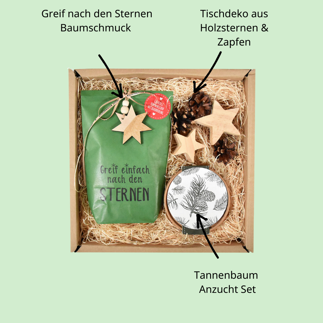 Geschenkbox Dein Tannenbaum 2030 Anzuchterlebnis
