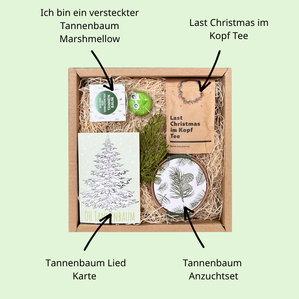 Tannenbaum Anzuchtset in Geschenkbox