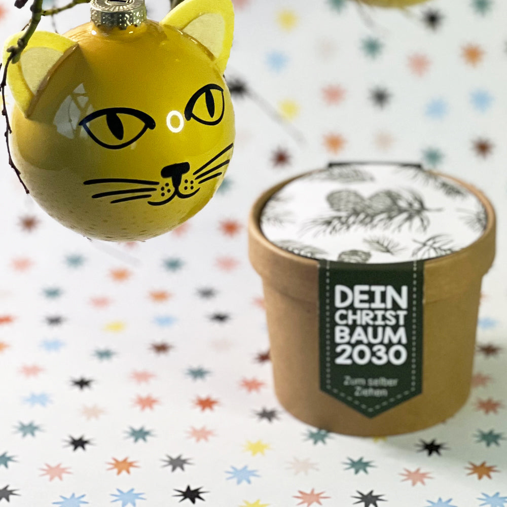 Katzenweihnachtsbaum Geschenk Box