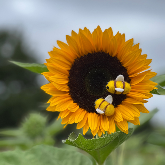 Filzbiene für pure Lebensfreude