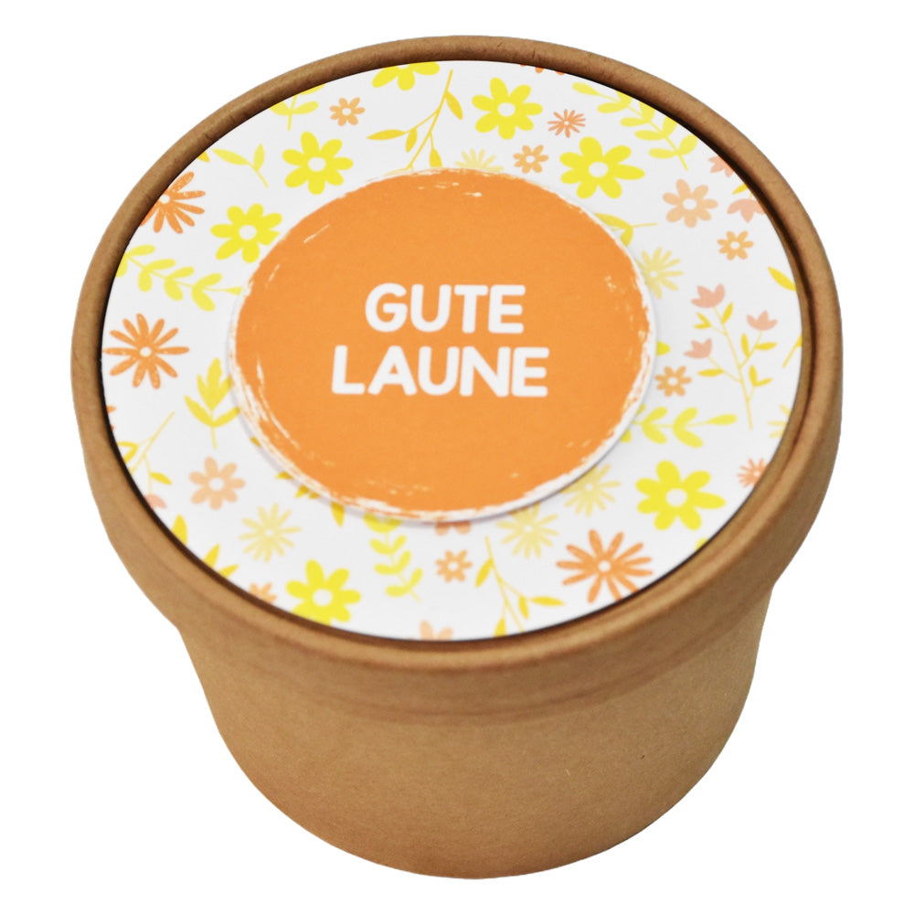 Blumenwiese zum Aussäen für mehr Gute Laune