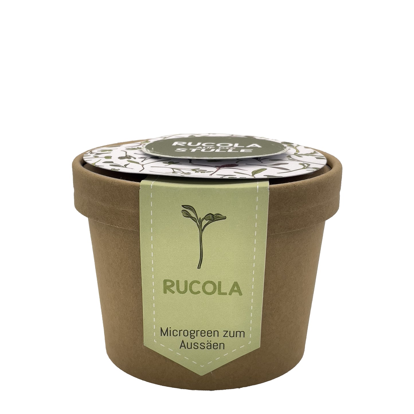 Microgreens Rucola Pott zum Aussäen für mehr Vitamine