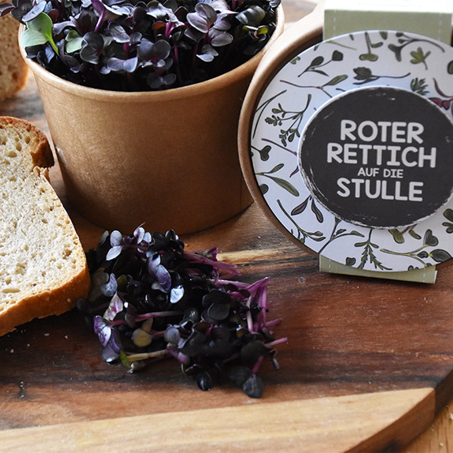 Microgreens roter Rettich zum Aussäen für den Salat