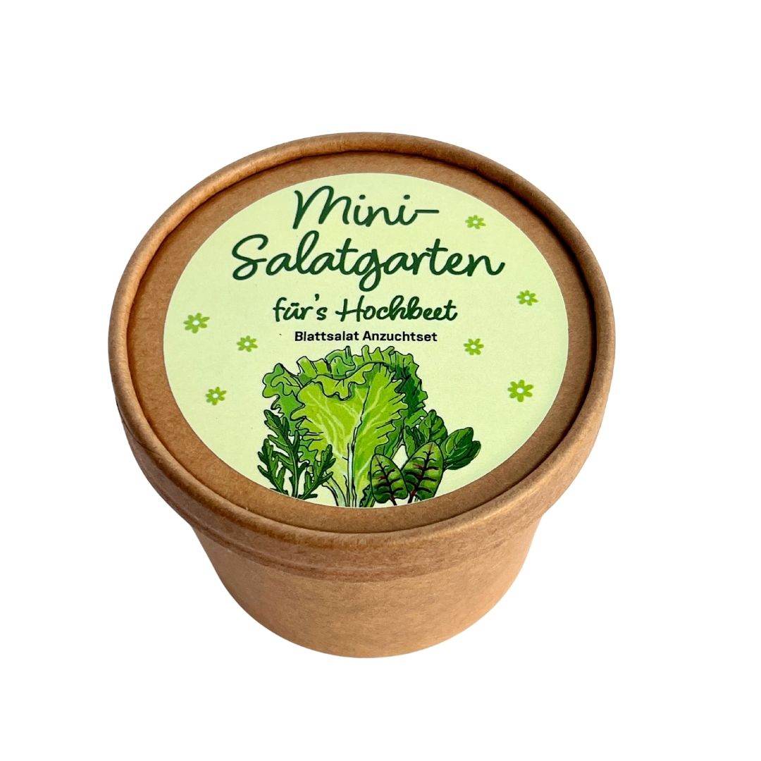 Mini Salatgarten für´s Hochbeet Anzucht Set