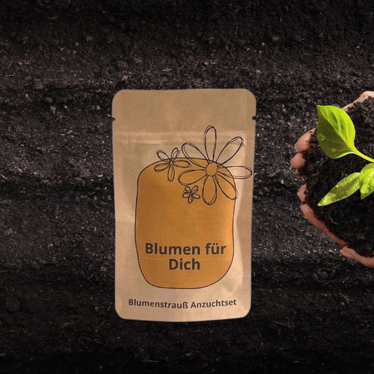 Blumen für Dich Anzuchset für einen Blumenstrauß