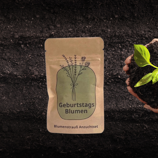 Geburtstagsblumen Anzuchset