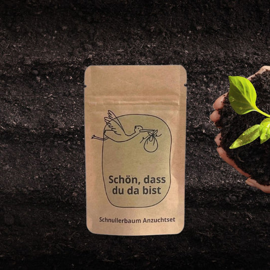 Schön, dass du da bist Anzuchtset zur Geburt