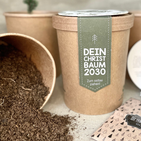 ökologischer Pflanztopf