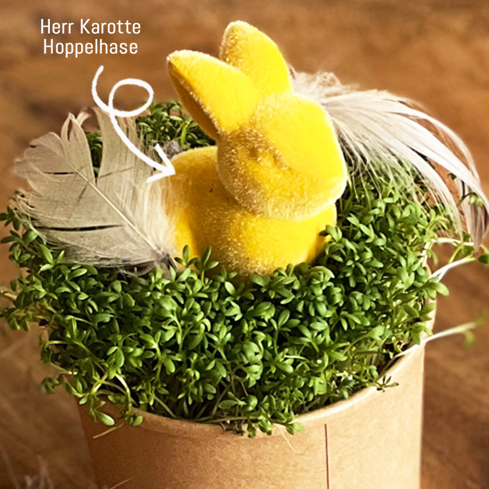 Osterhasengruß Wundertüte in sonnigem Gelb