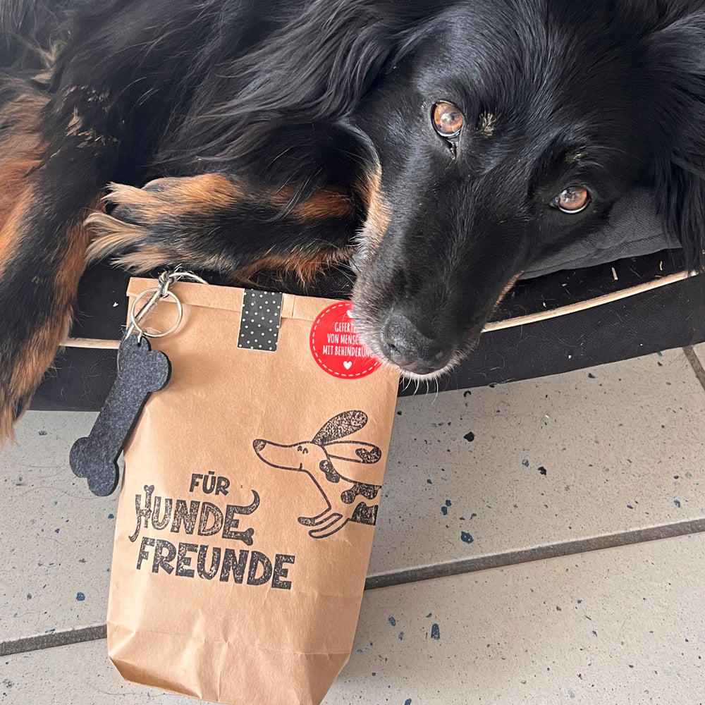 Hund mit Hundefreundetüte