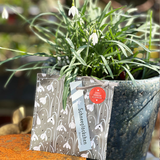 Kleiner Weihnachtsgruß mit Schneeglöckchen Saatgut