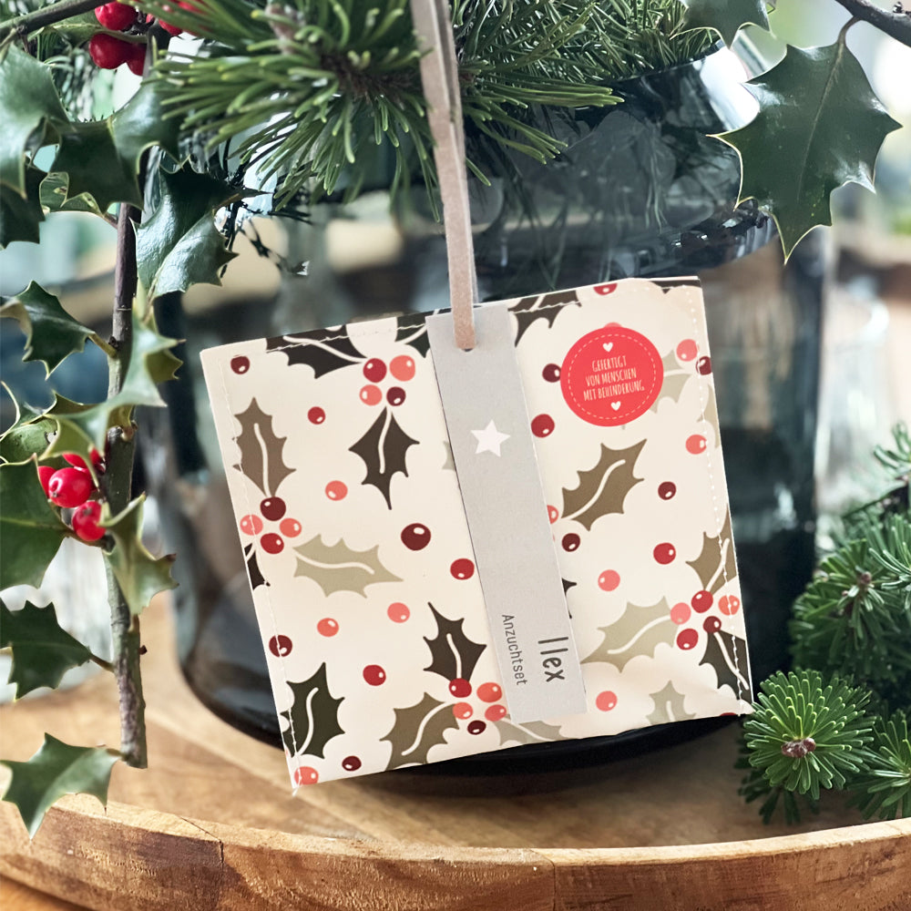 Kleiner Weihnachtsgruß mit Ilex Saatgut
