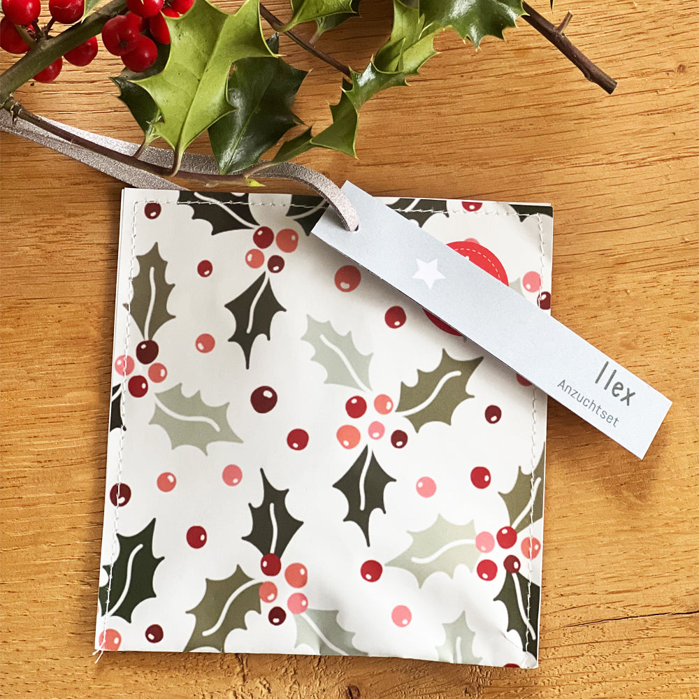 Kleiner Weihnachtsgruß mit Ilex Saatgut