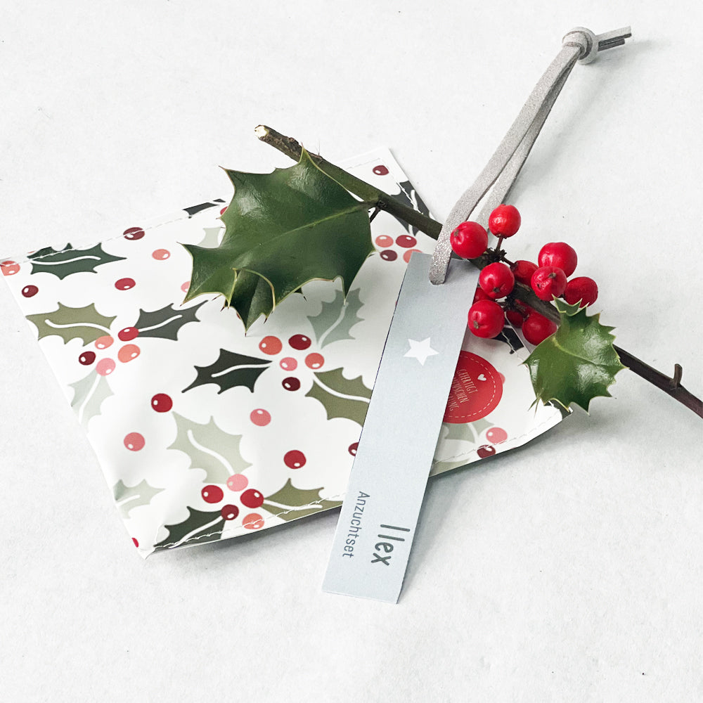 Kleiner Weihnachtsgruß mit Ilex Saatgut