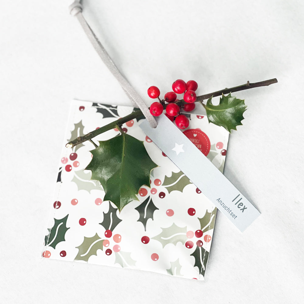 Kleiner Weihnachtsgruß mit Ilex Saatgut