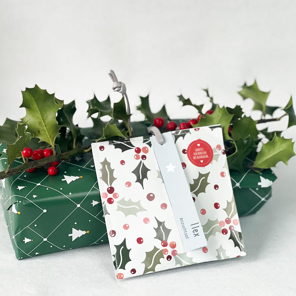 Kleiner Weihnachtsgruß mit Ilex Saatgut