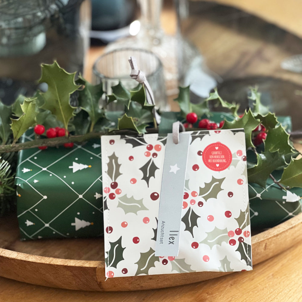 Kleiner Weihnachtsgruß mit Ilex Saatgut