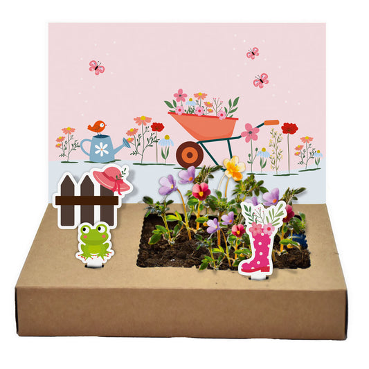 Geburtstagsblumenstrauß – Dein kreativer Mini-Garten zum Geburtstag