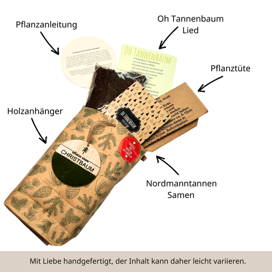 Pflanz einen Christbaum Wundertüte mit Tanne