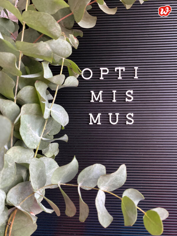 Garantierte Glücklichermacher: Blumen – Wunderblumen to grow, das langhaltige Vergnügen!