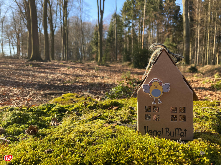 Geschenkhäuser, Nachhaltige Geschenke, die es zu Hause noch lebendiger und schöner machen