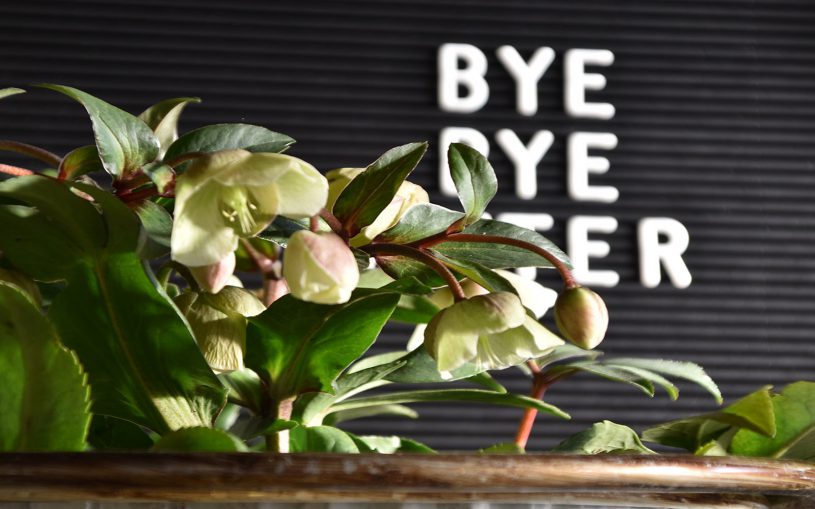 Ein Dazwischending…Ich wäre dann soweit! Bye Bye Winter – Hello Spring!!!