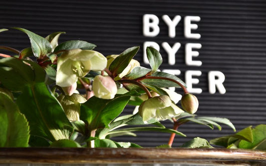 Ein Dazwischending…Ich wäre dann soweit! Bye Bye Winter – Hello Spring!!!