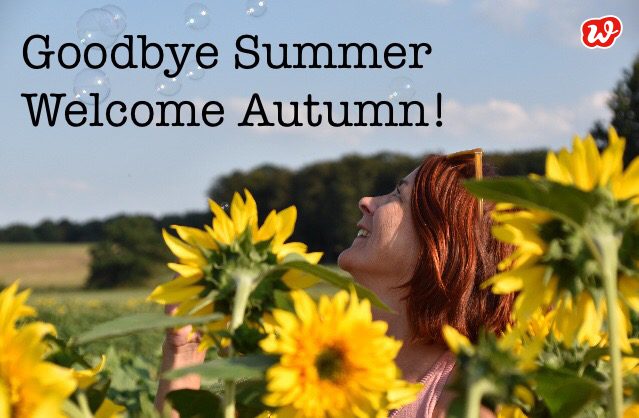 Tschüss Sommer, Hallo Herbst, Teil 2: Fotocollagen und some Quotes