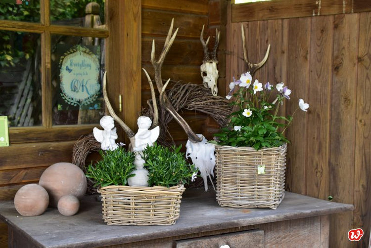 Herbstklopfen – traritrara, der Herbst ist da – Herzklopfmomente!