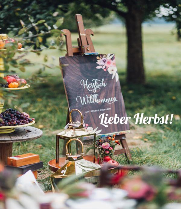 Die Pummelchen-Saison ist eröffnet – im Apfel- und Kürbisparadies