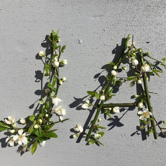 Losgehüpft Teil 2 – Hasenschwärmereien…