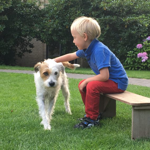 „Ziemlich beste Freunde“ – Unser Wunderle der Woche!