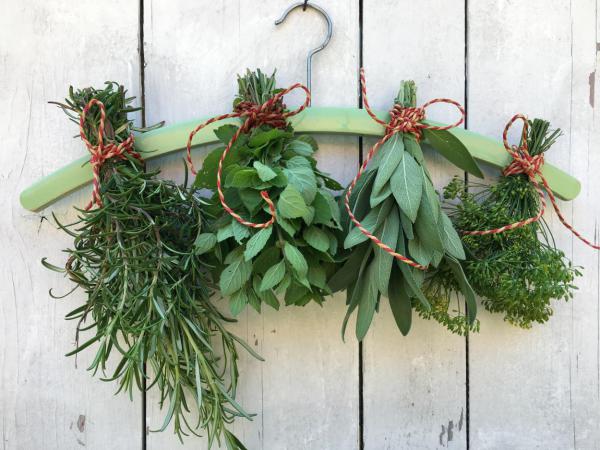 Kräuter – Summer to stay