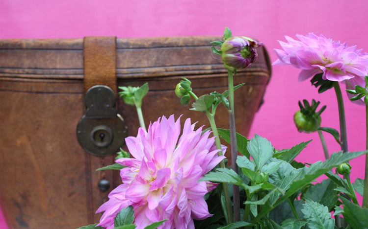 Kleine Plauderei…Wunderle News