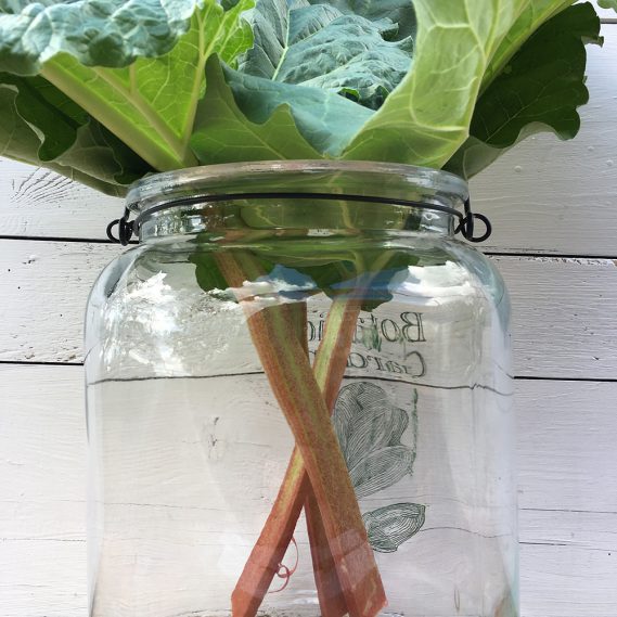 Rhabarberliebe! Aller guten Dinge sind 3!