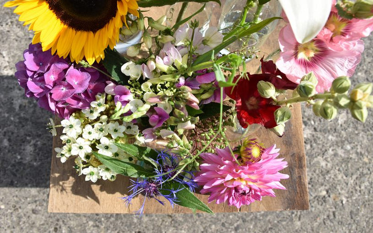 Selbstgepflückt – 3G-Blumensträuße und Sammelvasen