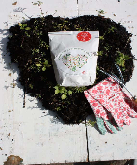 Wunderle der Woche – Unsere Liebe soll blühen!!!