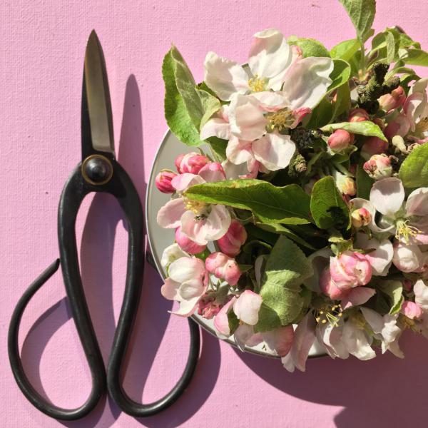 Spargel- und Samstagliebe – Samstagsmagie FREE Printable