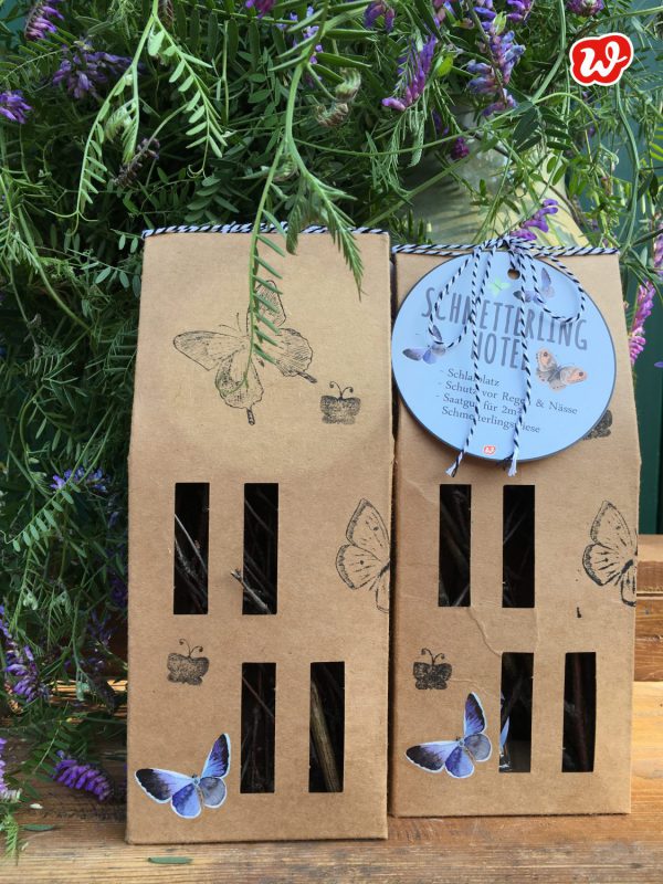 Schmetterlingsrettung: Mit dem Schmetterlingsgarten und dem Schmetterlingshotel ins Paradies einladen!