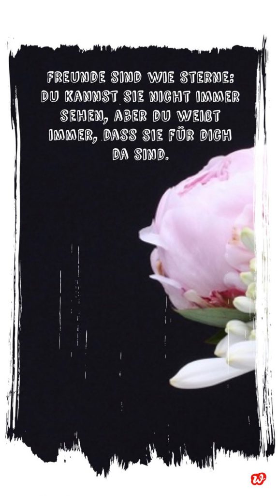 Schlimmste Vermissung!!!Eine Liebeserklärung an die Freundschaft & Lieblingsquotes