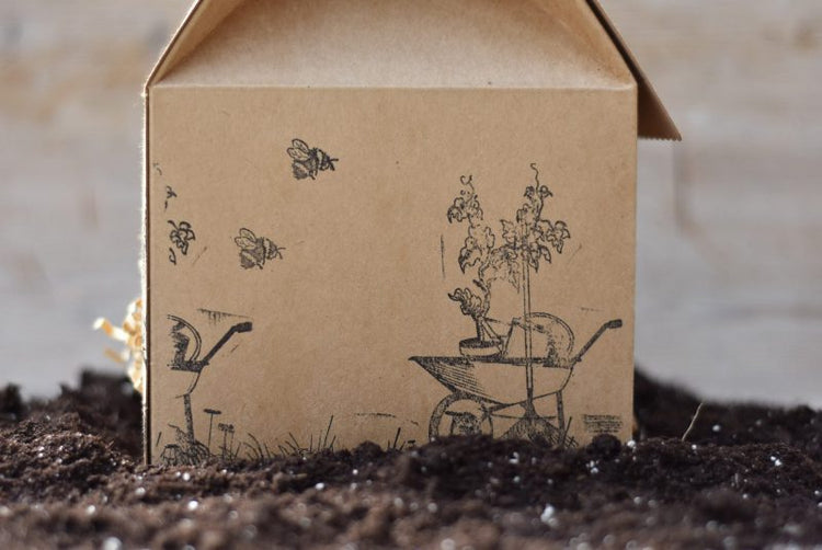 Das Garten Starter Set – auf den grünen Daumen fertig los!