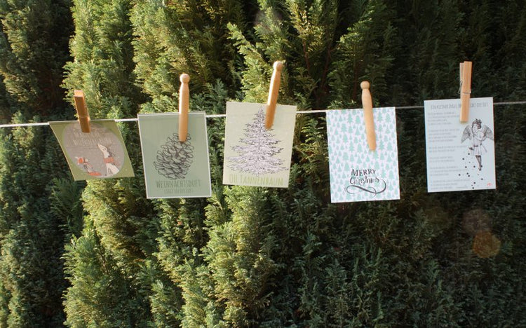 Antonius – the christmas sheep!