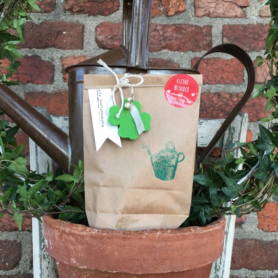 Die Gartensaison ist eröffnet! Unser Wochenwunder: Für Gartenfreunde