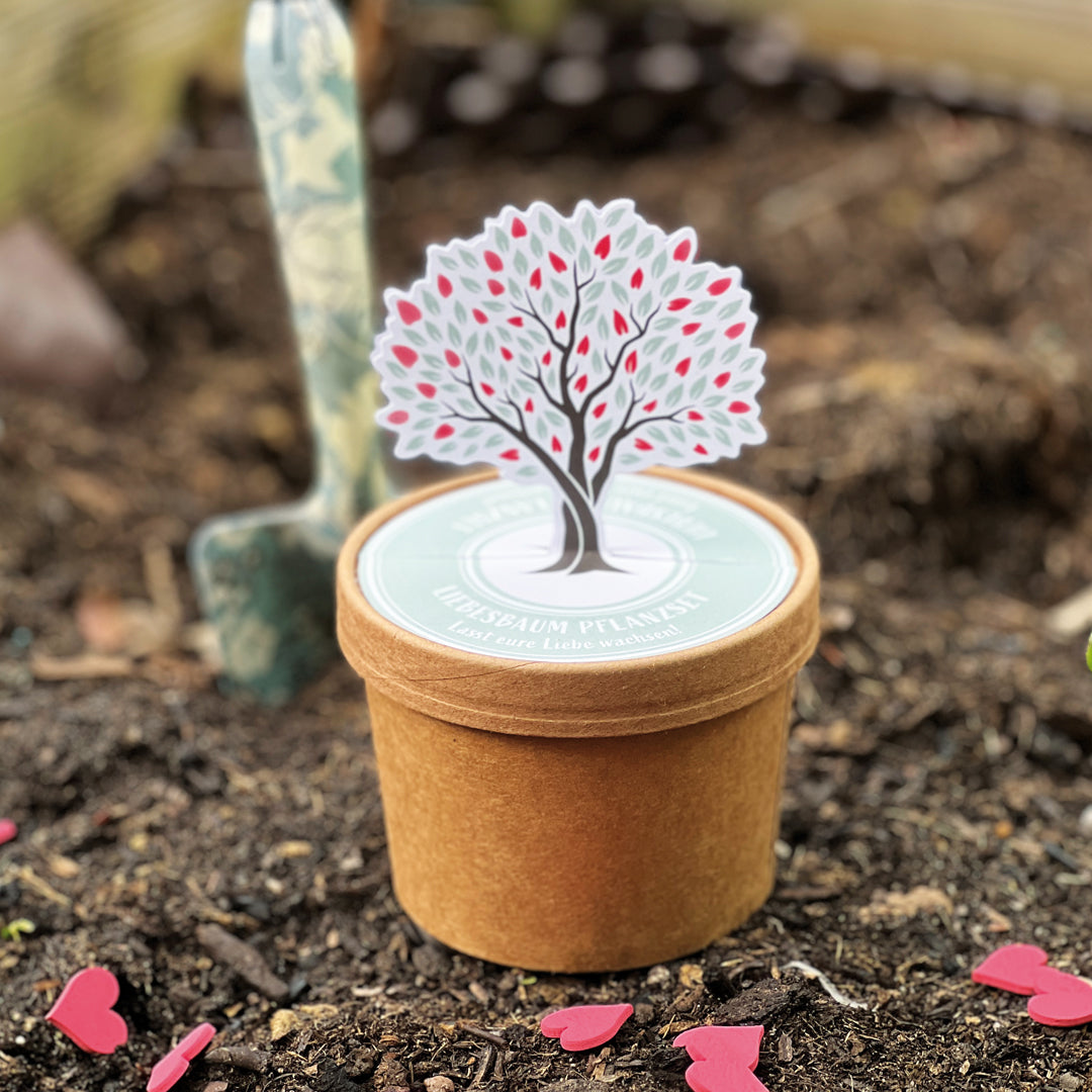 Geschenke für Paare