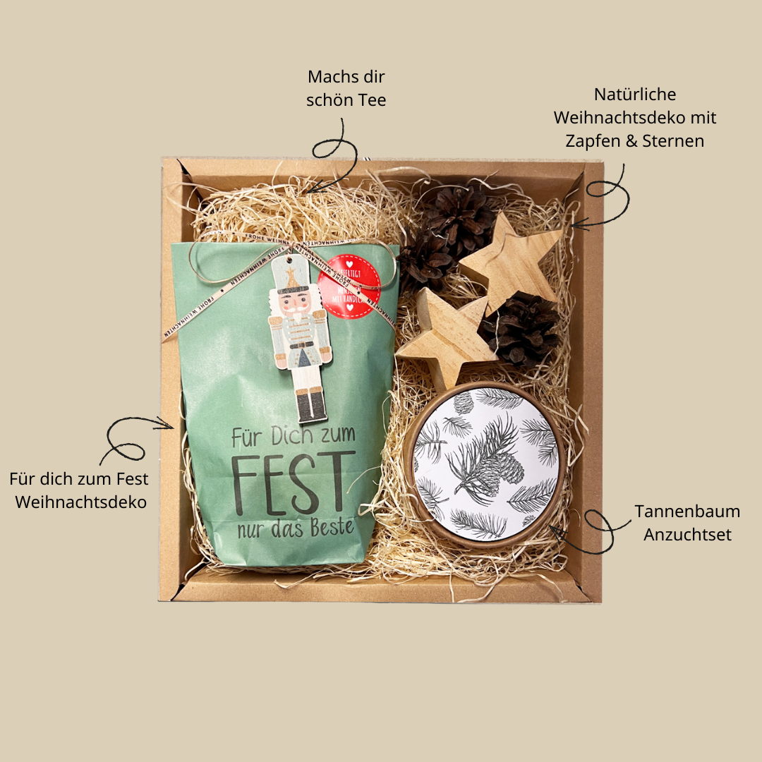 Geschenkbox Dein Tannenbaum 2030 Anzuchterlebnis