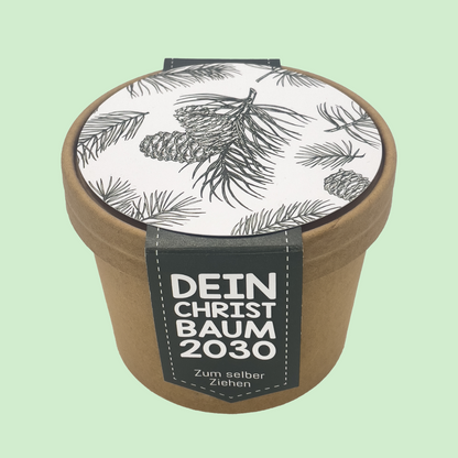 Geschenkbox Dein Tannenbaum 2030 Anzuchterlebnis