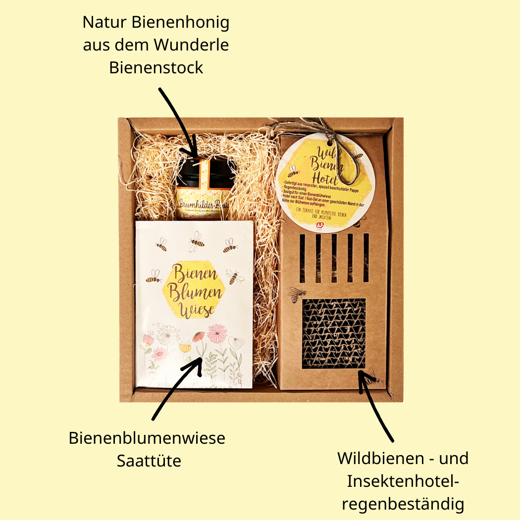 Bienenhotel Geschenk Box