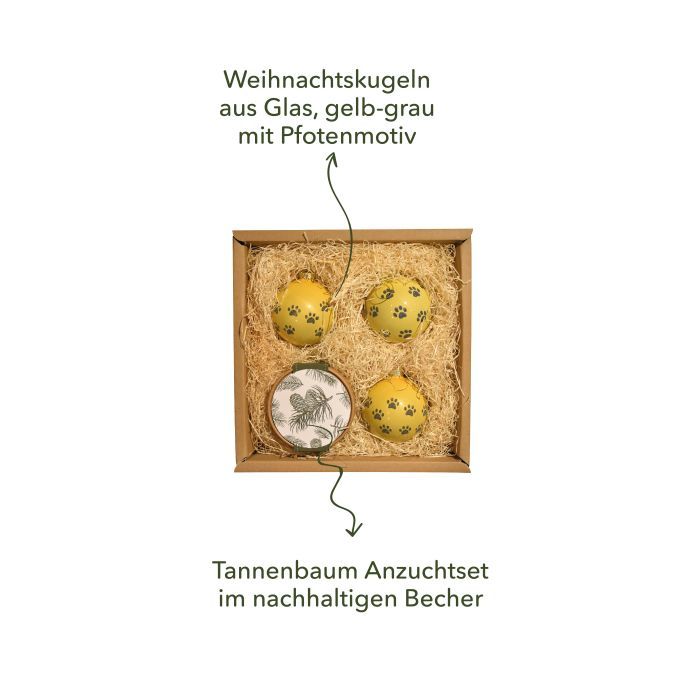 Hundeweihnacht Geschenkbox Inhalt
