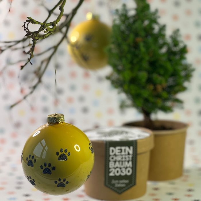 Christbaumkugel Tatze