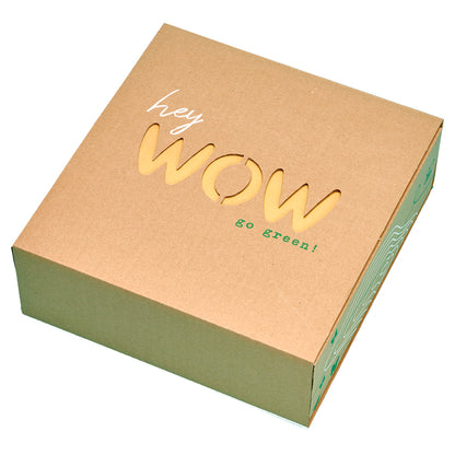 Geschenkbox aus Pappe